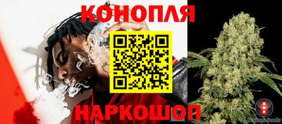 индика Пушкино