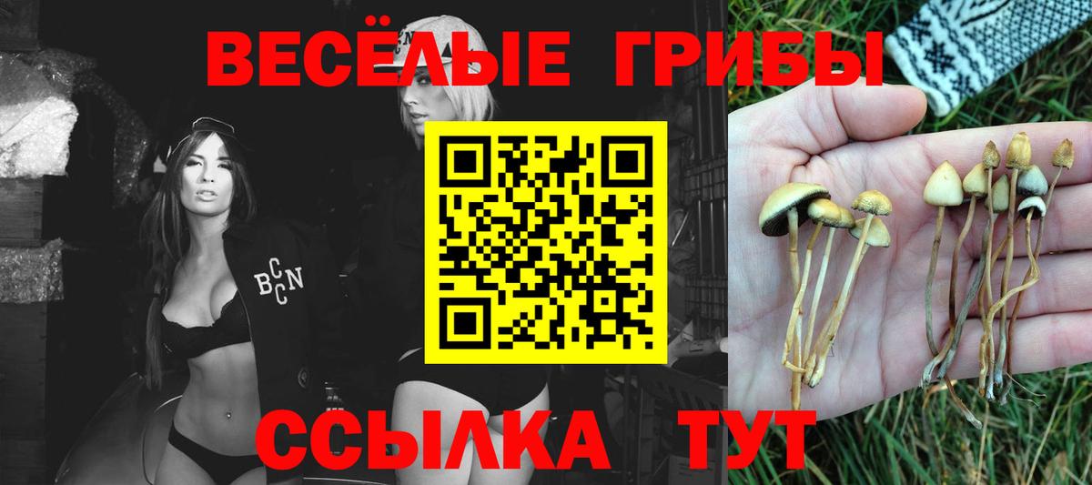 Галлюциногенные грибы прущие грибы  Галлюциногенные грибы Psilocybine cubensis  Вход с VPN  Муравленко 